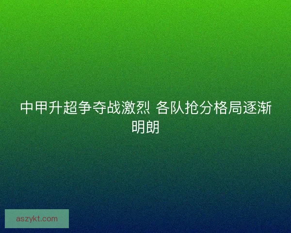 中甲升超争夺战激烈 各队抢分格局逐渐明朗