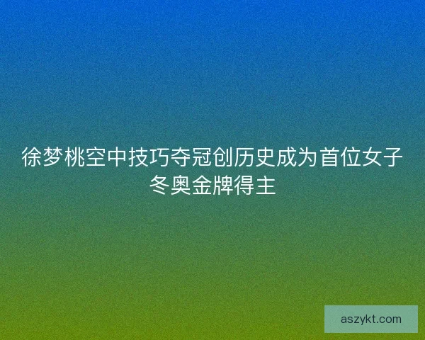 徐梦桃空中技巧夺冠创历史成为首位女子冬奥金牌得主
